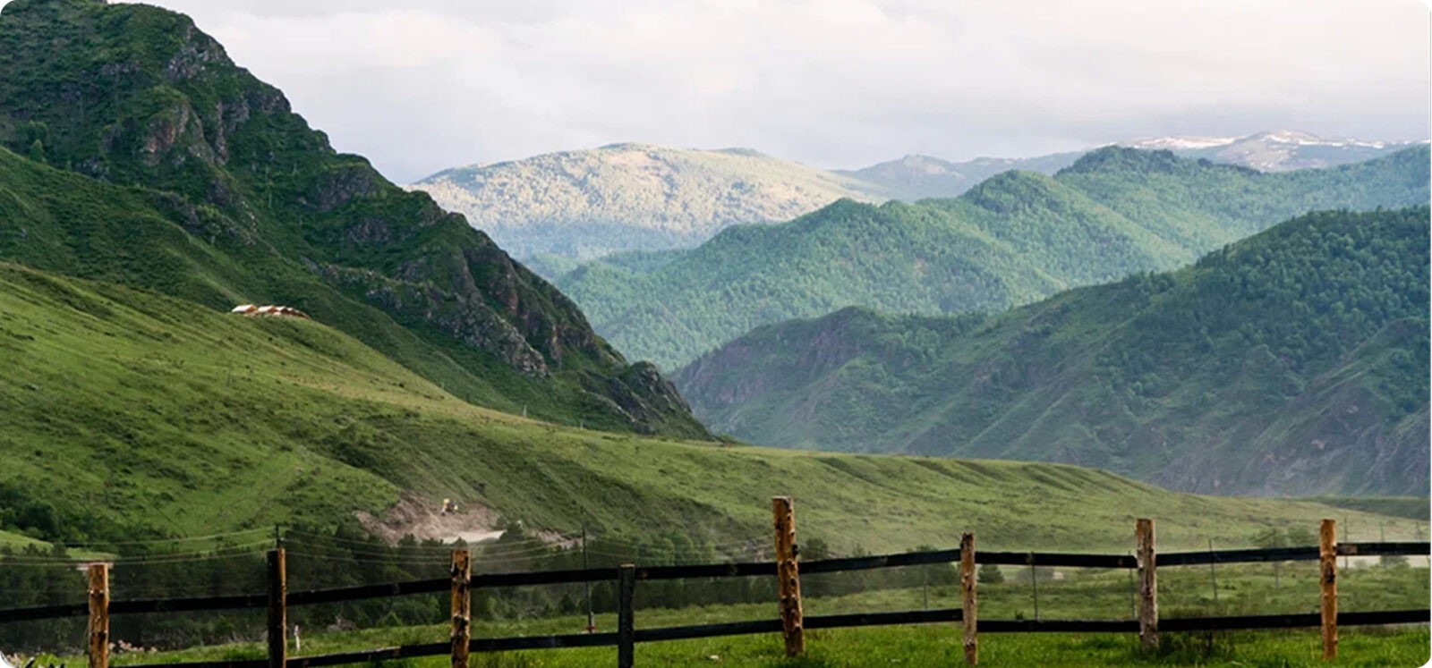 Университет